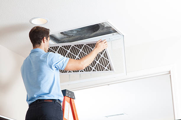 Best Ductless Mini-Split Systems in Harrison, MI